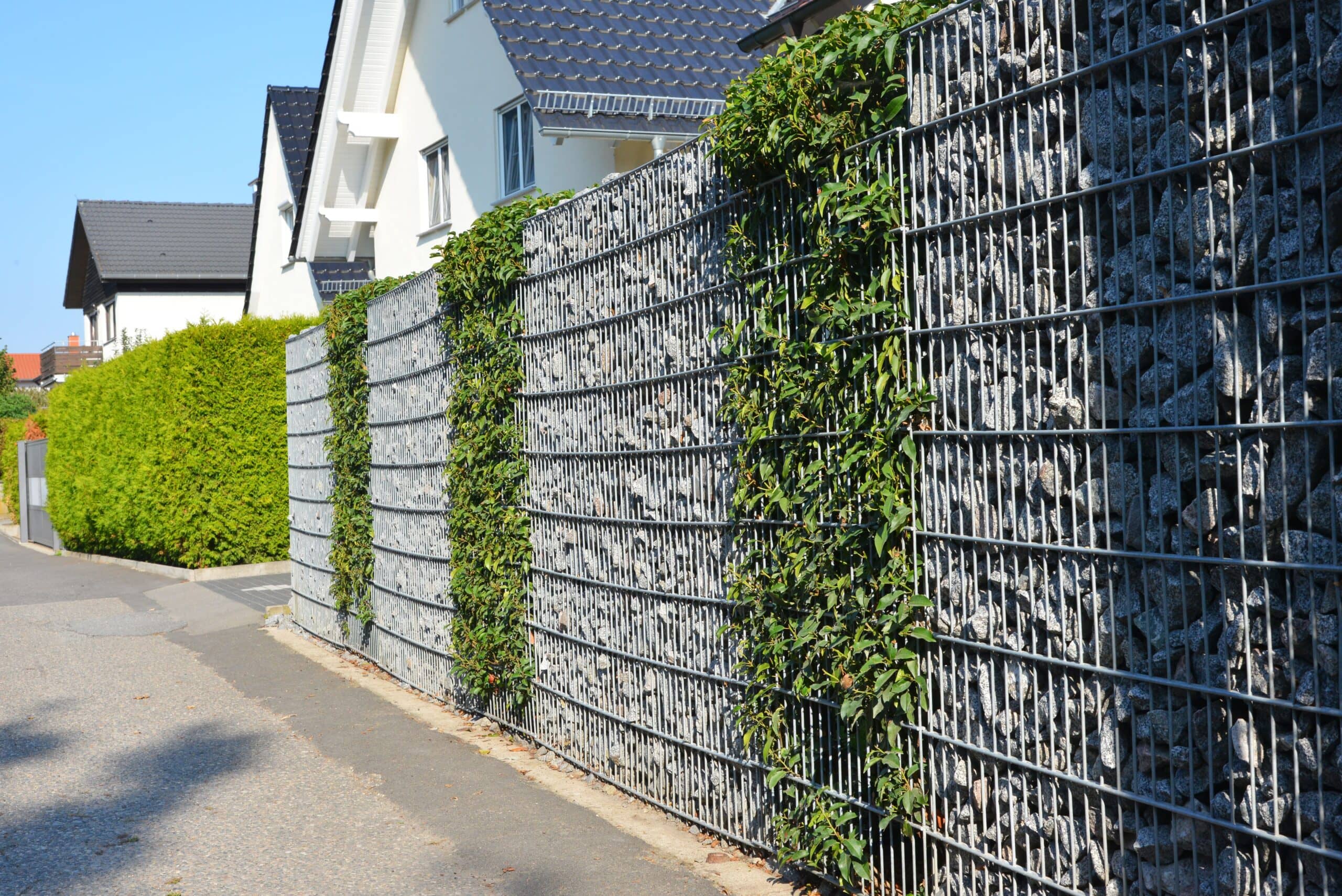 Zaun bepflanzen Ideen für deine grüne OutdoorOase